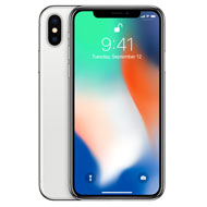 Apple iPhone X 256GB Other Carrier